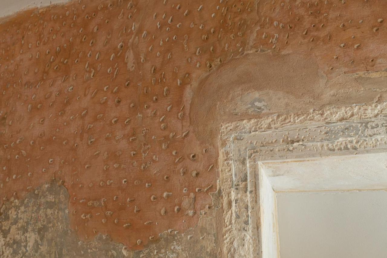 Domus Verona - Residenza Marconi Esterno foto